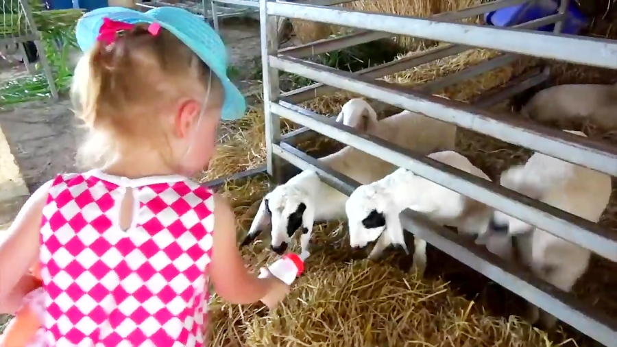 ماجراهای ناستیا و بابایی - قسمت 66